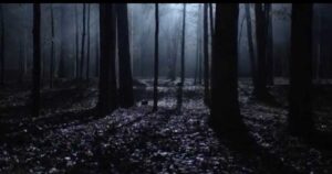 Teen Wolf 2.Sezon 1.Bölüm