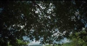 El Chapo 1.Sezon 9.Bölüm El Chapo 1.Sezon 9.Bölüm